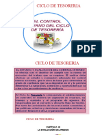 COSO. DIAPOSITIVAS CICLO DE TESORERIA