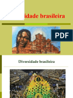 Diversidade Brasileira