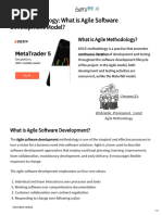 Agile Methodology - What Is Agile Software Development Model