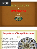 Download Slide Culture in Mycology by doctorrao SN49858413 doc pdf