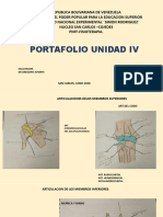 Portafolio Anatomia Humana