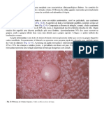 Patologia Oral e Maxilofacial Neville 4 Ed - 0007