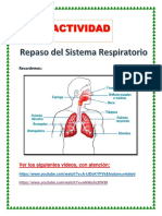 Actividad en Clase - Sistema Respiratorio