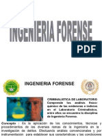 Ingenieria Forense