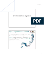 O2. PPT - Cromossomas e Genes