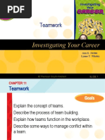 Teamwork: Investigating Your Career