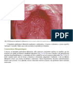 Patologia Oral e Maxilofacial Neville 4 Ed - 0016