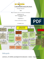 Variaciones Individuales Educativa