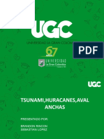 tsuamis_huracanes_y_avalanchas(1)