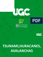 Tsuamis Huracanes y Avalanchas