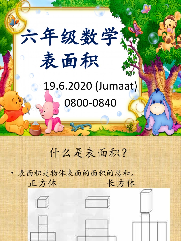 六年级表面积 19 6 Pdf