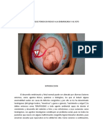 Teratogenos PDF