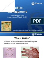 Scabies MGMT PP T