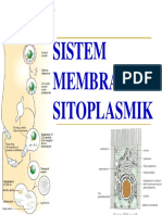 MEMBRAN SITOPLASMIK