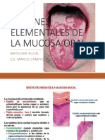 Lesiones Elementales de La Mucosa Oral Medicina Bucal (1)