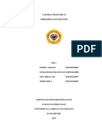 Laporan Praktikum Mikrobiologi Industri Identifikasi Mikroorganisme Kelompok D