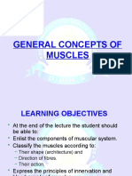 GROSS General Concepts of Muscles
