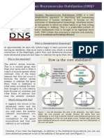 What Is Dynamic Neuromuscular Stabilization (DNS) ?: How Is The Core Stabilized?