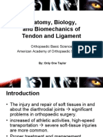Anatomy, Biology, and Biomechanic of The Tendon and Ligament