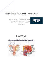 Anatomi Repro
