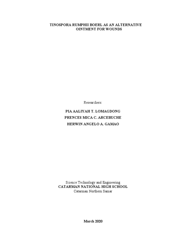 Title Page Pia | PDF | Technology & Engineering