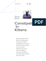 Constipation - Kitten Lady