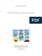 242827347 Livre Blanc Energies Renouvelables PDF