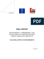 Final Report Palm