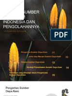 Potensi Sumber Daya Alam Indonesia Dan Pengolahannya: IZZA PUSPA RINDA 200220104006