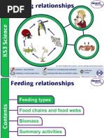 Feeding Relationships