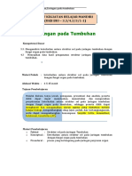 UKBM 3.3 BIOLOGI XI - Jaringan Pada Tumbuhan