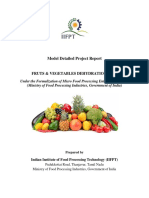 Model Detailed Project Report: Fruts & Vegetables Dehydration Unit