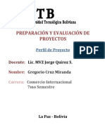 Perfil Del Proyecto