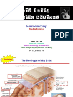 Neuroanatomy: Handout Version
