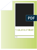 Glava I Vrat