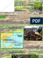 Mangrove Planting:: Restoration and Propagation Using Plantable Paper