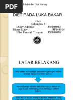 Download Diet Luka Bakar by Dion Rizki SN49872136 doc pdf