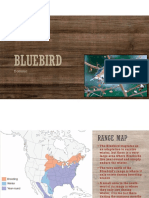 Bluebird Project