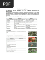 Trabajo de Relación Mutualismo. Comensalismo - Parastismo Etc