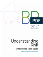 Understanding Risk Brazil