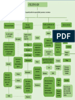 Mapa Conceptual Cultivo