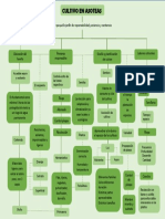 Mapa Conceptual Cultivo