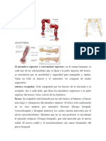 Enfermedad Arterial Cronica