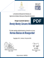NBB-03 - Certificado Normas Básicas de Bioseguridad 2020-03