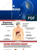 Sistema Endocrino (Parte i)