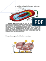 Proses Pernapasan Seluler