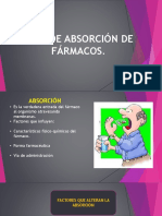 Fase de Absorción Parte 1