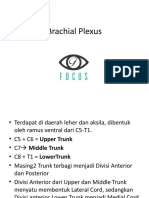 Brachial pleksus