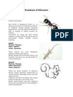 Predators of Silkworm Predators of Silkworm: Ant Phylum: Arthropoda Class: Insecta Order: Hymenoptera