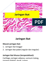 Jaringan Ikat